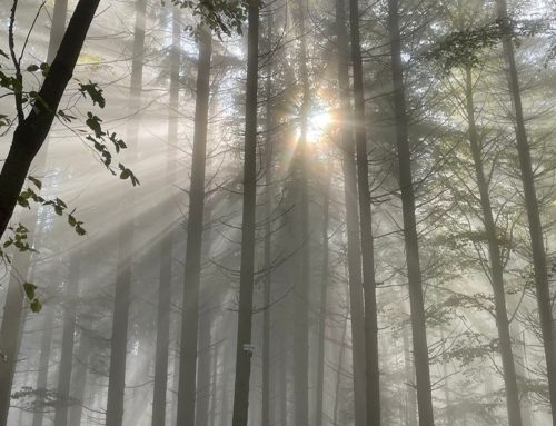 Zwischen Himmel und Erde liegt das Paradies.